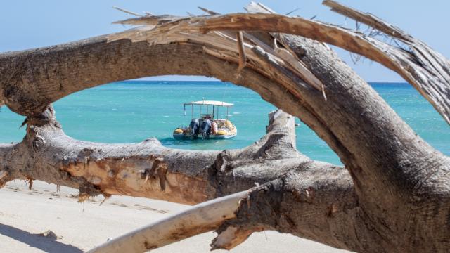 Mayotte Tronc Arbre Souche Ilot Mtsamboro Plage Bateau Semi Rigide 1529 Original