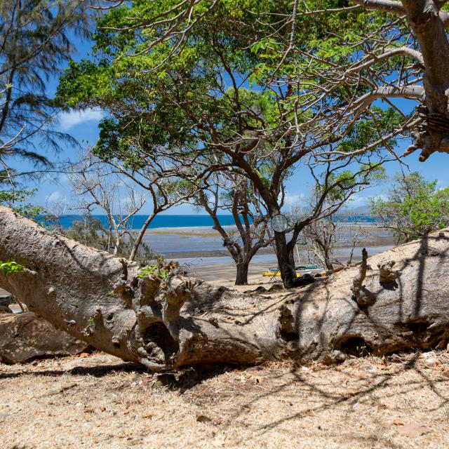 Ololo Sakouli Maree Basse Corail Lagon Mayotte Baobab 0106 Original